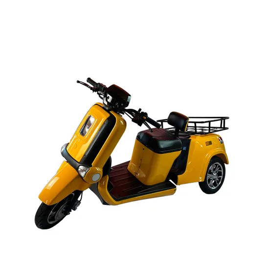 Newest A5 Three Wheel 4000W Hub Motor Lithium Battery Electric Tricycle for Passenger