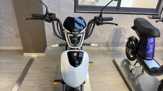 Syev EEC Scooter eléctrico para adultos con motor DC sin escobillas de 800 W Shenyun