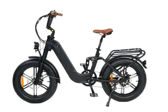 Queene/48V 750W Batería oculta Fat Tire Electric E