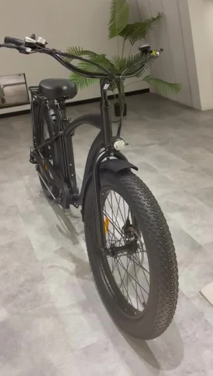 China Bicicleta eléctrica Ebike con neumático ancho de 750W para hombre con suspensión total